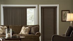 Vinyl Blinds in Living Room