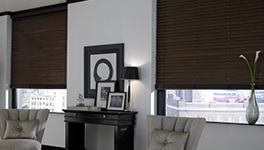 Wood Blinds in Living Room