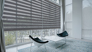 Horizontal Sheer Shades with Drapery